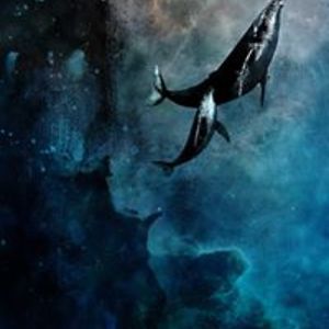 rachel_powell avatar