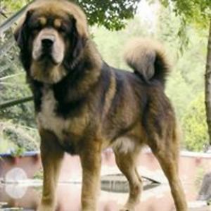 seabreezeranch avatar