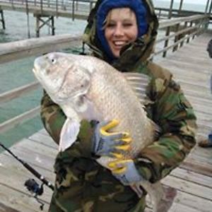 littlebunniefuefue avatar