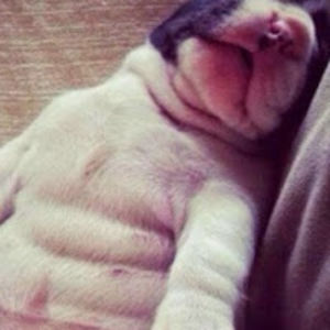 jirehvillanueva avatar