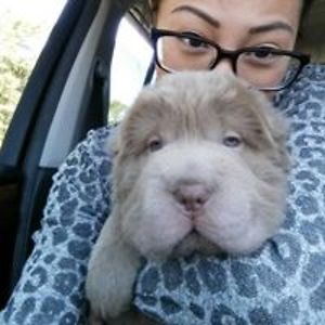 christine_park89_1 avatar