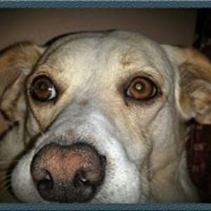 ranko_yokoyama avatar