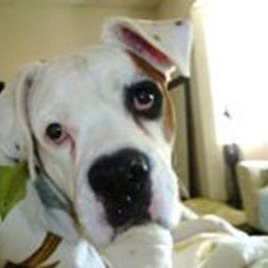 Marilyn_Shupe avatar