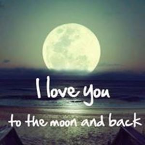 missfairchild avatar