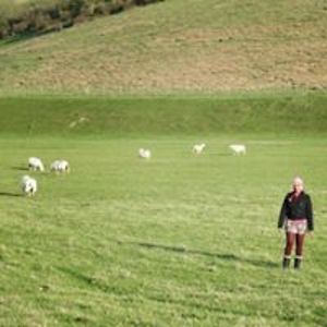 getservicesoon avatar