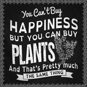 Cindy_Schlutter avatar