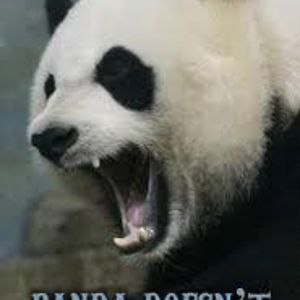 pandabest05 avatar