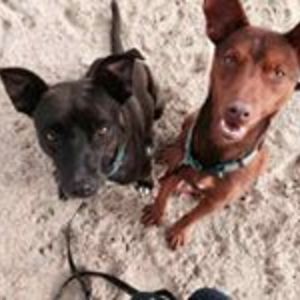 sandcastles26 avatar