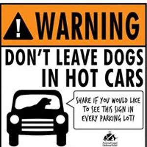 tribalbearpaw avatar