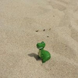 Marjoleine_Postma avatar