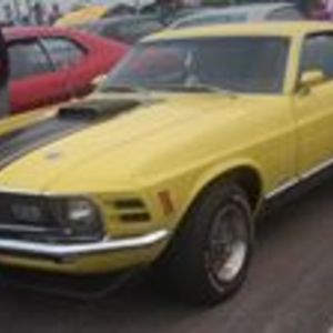 forsea_cvetanovic072 avatar