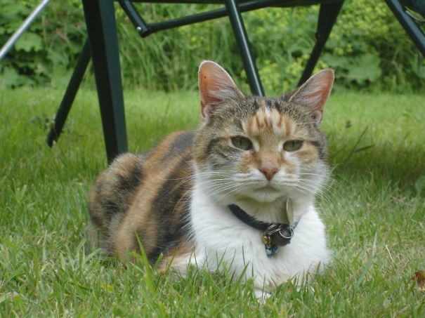 Alice Derbyshire Who Lived Until Nearly 26 Years Old And Was Such A Treasure Xx