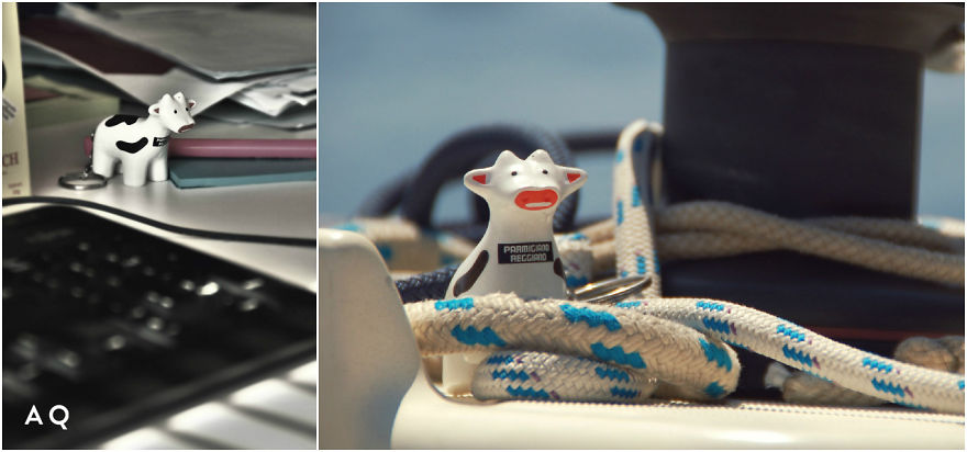 I Kidnapped The Toys Of My Colleagues And Took Them For Holidays.