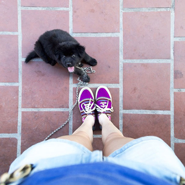 The Same Frame Everyday: An Instagram Account Full Of Colorful Daily Celebrations