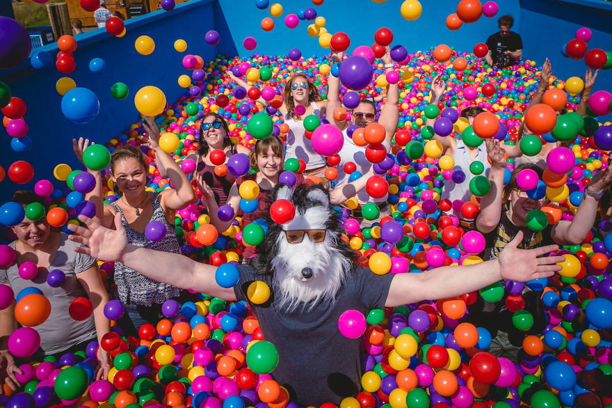Never Too Old: Ball Pit Party For Grownups! Never Too Old: Ball Pit Party For Grownups!