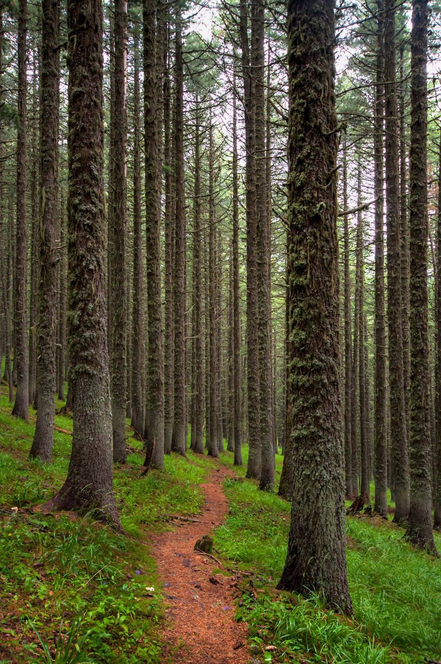 Bulgaria Through Plamen's Eyes