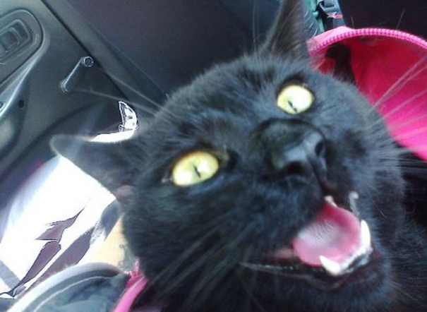 "gords" Was Thrilled To Go Outside :)