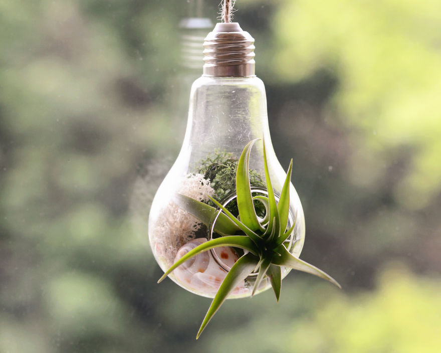 Create Your Own Jurassic Park With Dinosaurs As Plant Holders