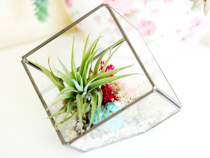 Create Your Own Jurassic Park With Dinosaurs As Plant Holders