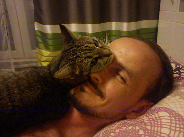 We Adopted 4-year Old Cat After A Year In Shelter Where She Was Taking Pills For Depression