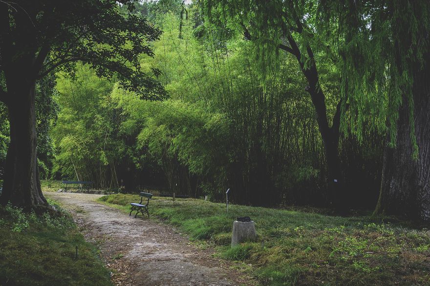 Jardim Bot&acirc;nico, Lisbon