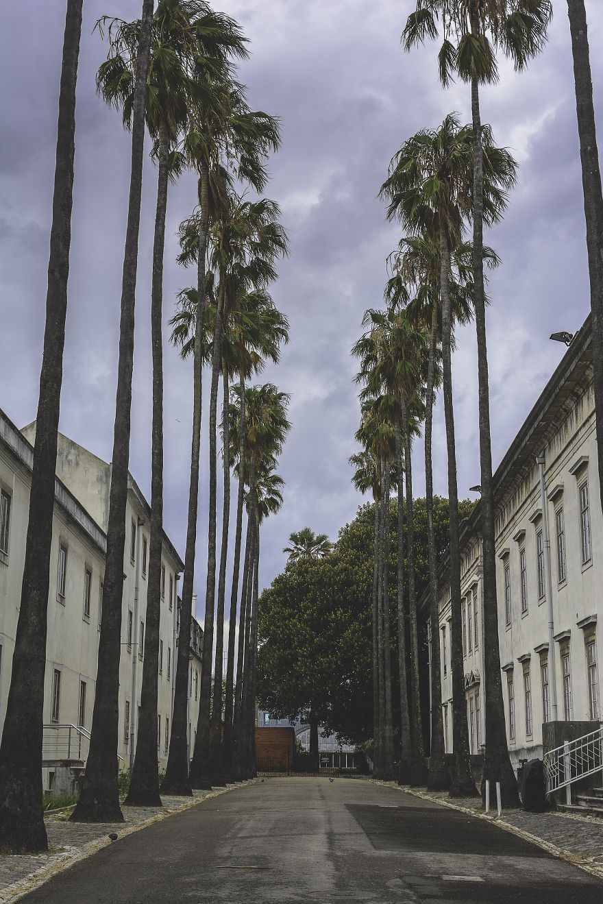 Jardim Bot&acirc;nico, Lisbon