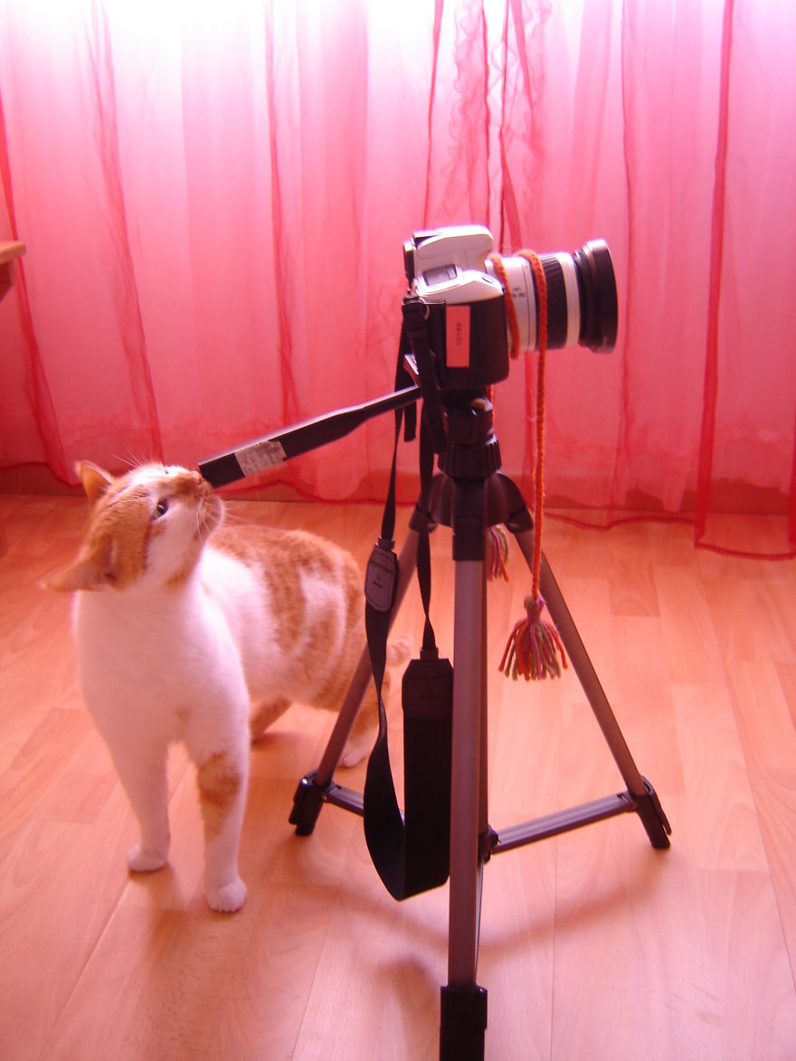 Timon Trying Out Photography