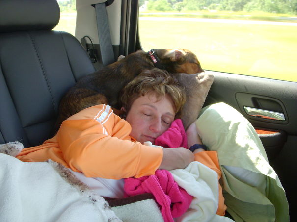 It's Been A Long Vacation! I'll Join Mom In Snooze On Ride Home.