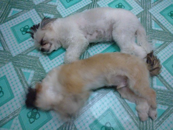 Cant Be Separated. :-p