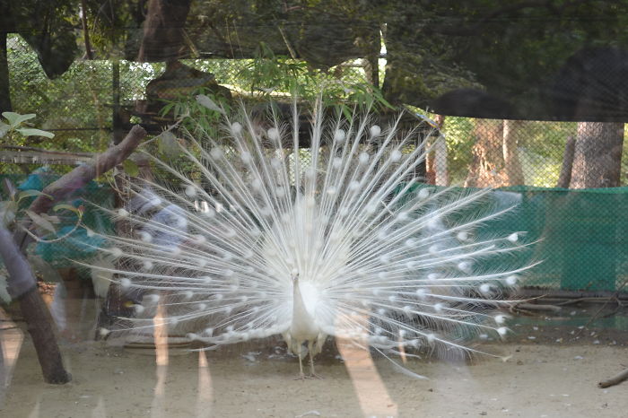 God Is Finding Something With Flashlight