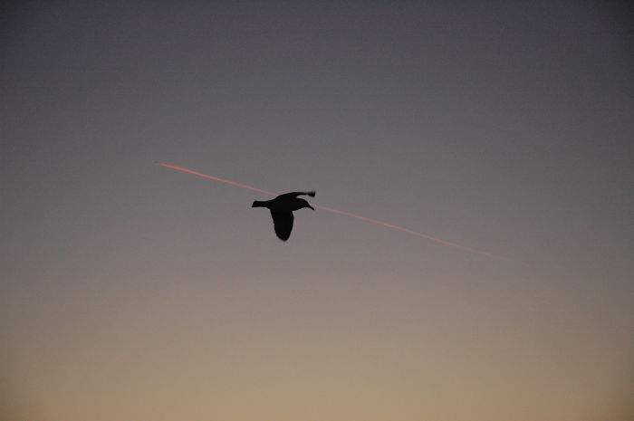 Passed Under My Wings