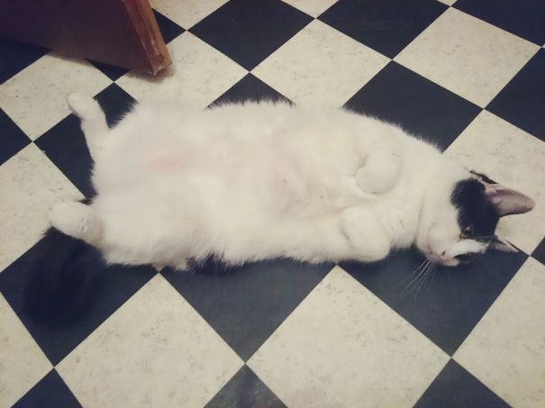 My Boyfriend Gaves Me This Cute 9years Old Lady For My Birthday. Couldn't Love Them More.