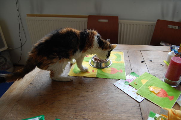 We Adopted Poesie When She Was 12. Now She Is 19.