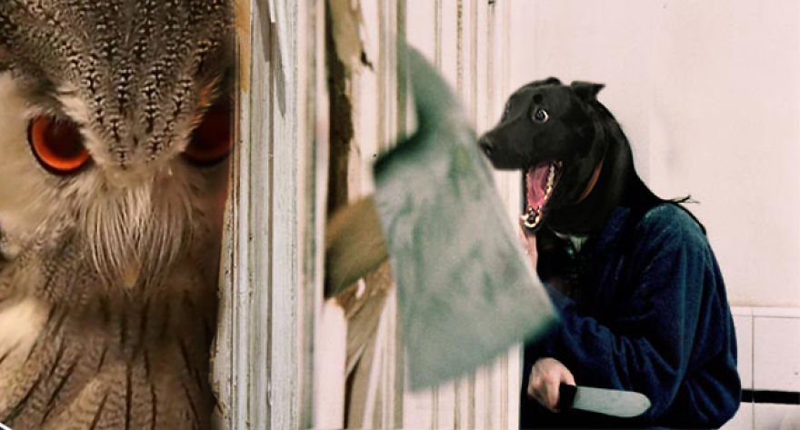 I'm Not Gonna Hurt Ya