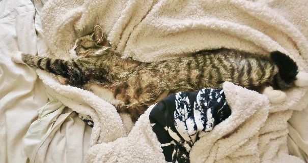 Streching At Same Time