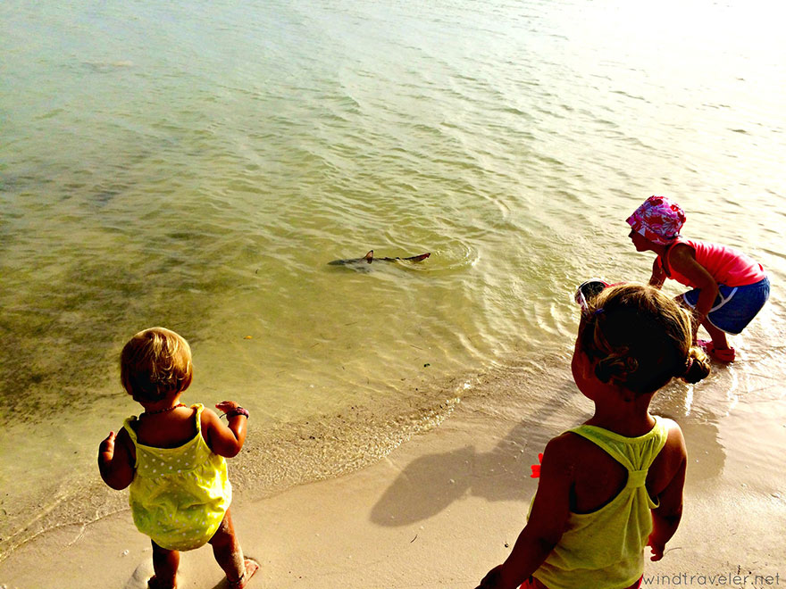 Extreme Parenting: Raising Three Toddlers On A Sailboat In The Caribbean
