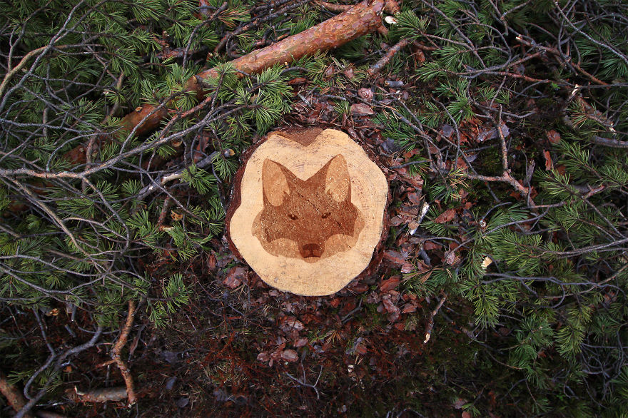 Deforestation Faces: I Show That We Kill Animals When We Destroy Forests