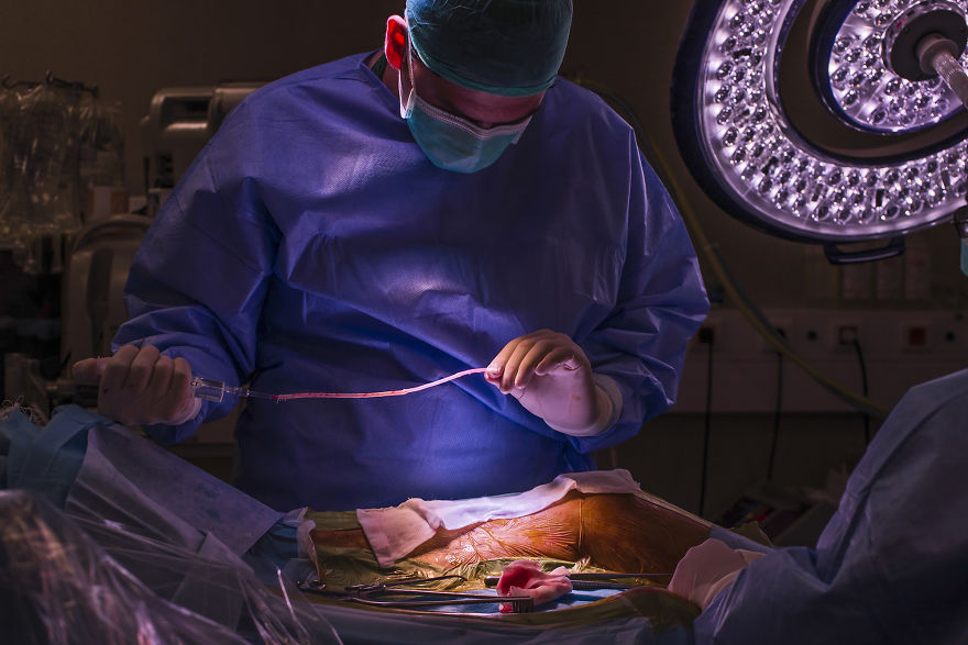 Gentle Violence: A Visual Exploration Of The Body During Open Heart Surgeries Gentle Violence: A Visual Exploration Of The Body During Open Heart Surgeries