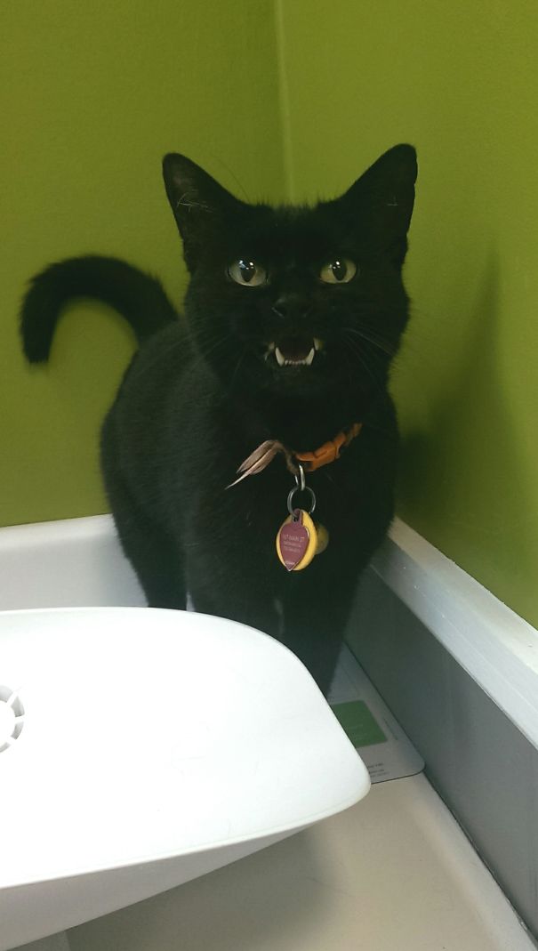 Happy To Be At Vets...yea,right