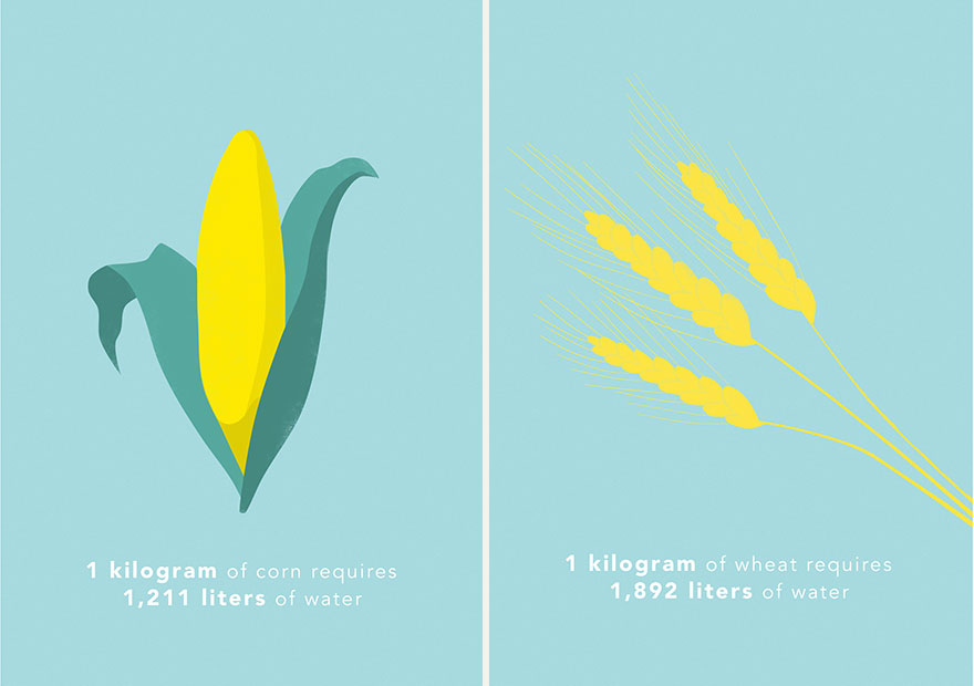 How Much Water Do You Eat?