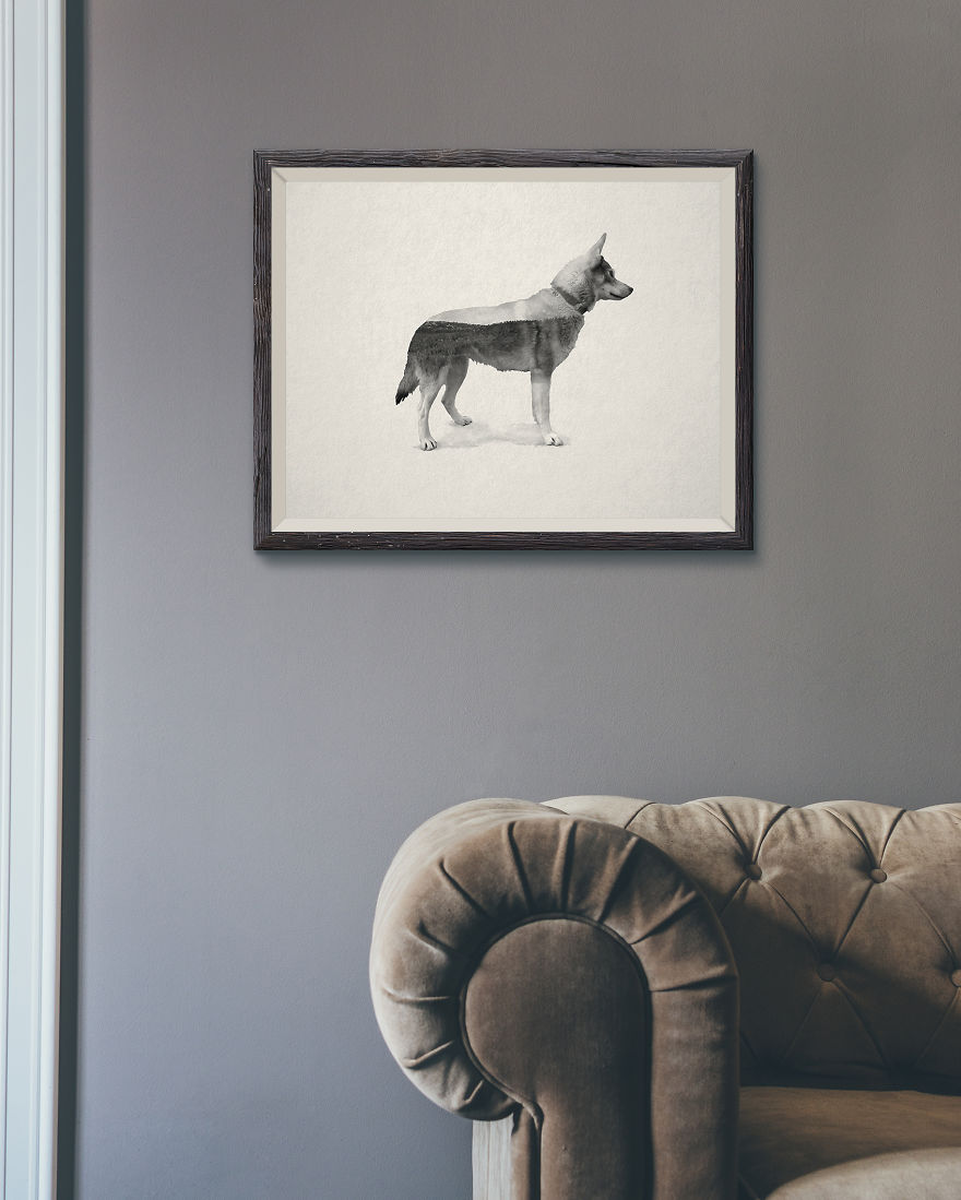 Living With 70 Dogs For A Month Inspired Me To Create These Portraits