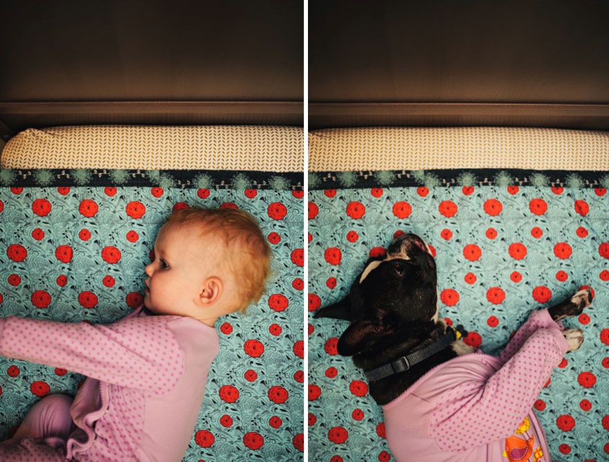 I Photograph My Daughter And Dog In The Same Settings