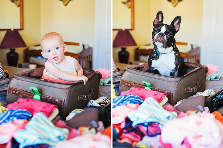 I Photograph My Daughter And Dog In The Same Settings I Photograph My Daughter And Dog In The Same Settings