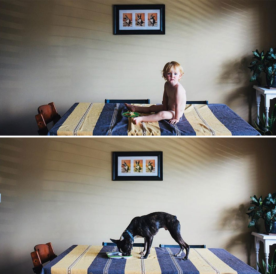 I Photograph My Daughter And Dog In The Same Settings I Photograph My Daughter And Dog In The Same Settings