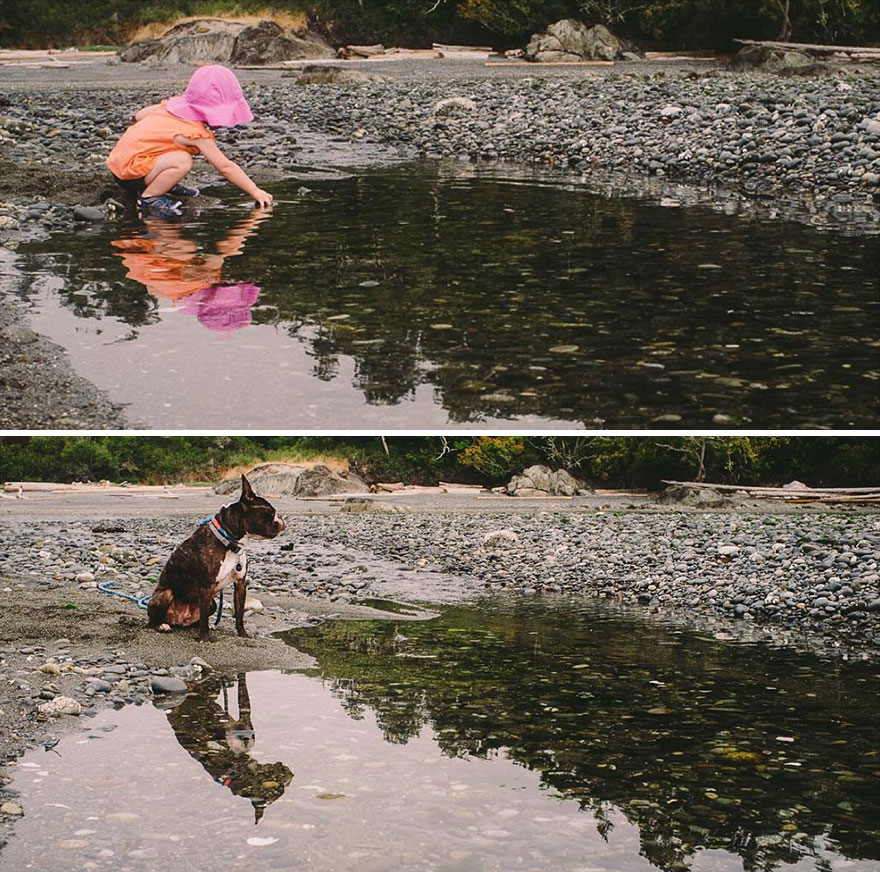 I Photograph My Daughter And Dog In The Same Settings