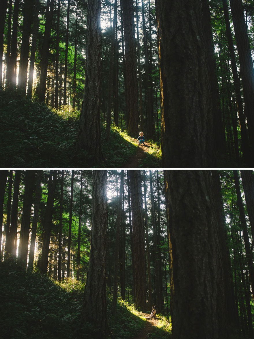 I Photograph My Daughter And Dog In The Same Settings