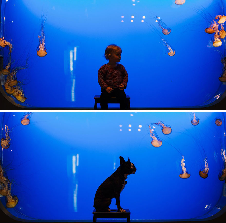 I Photograph My Daughter And Dog In The Same Settings