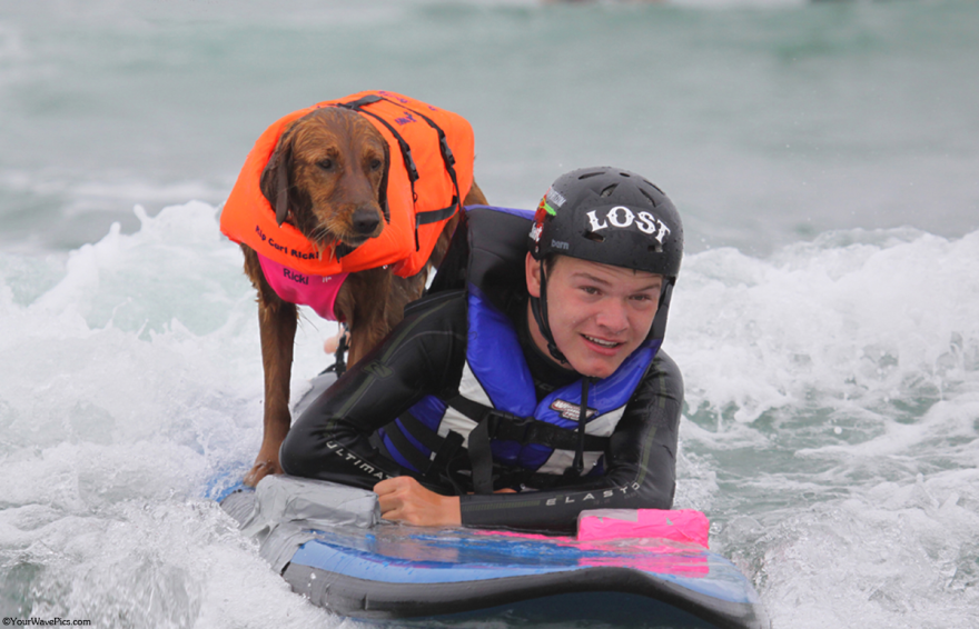My Therapy Dog Ricochet Surfs With People With Disabilities, Helping Them Heal My Therapy Dog Ricochet Surfs With People With Disabilities, Helping Them Heal