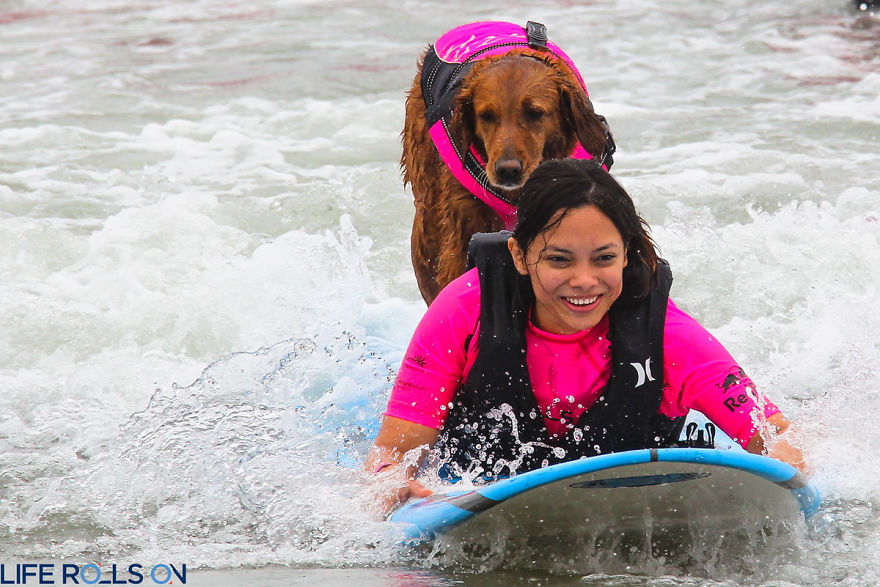 My Therapy Dog Ricochet Surfs With People With Disabilities, Helping Them Heal My Therapy Dog Ricochet Surfs With People With Disabilities, Helping Them Heal