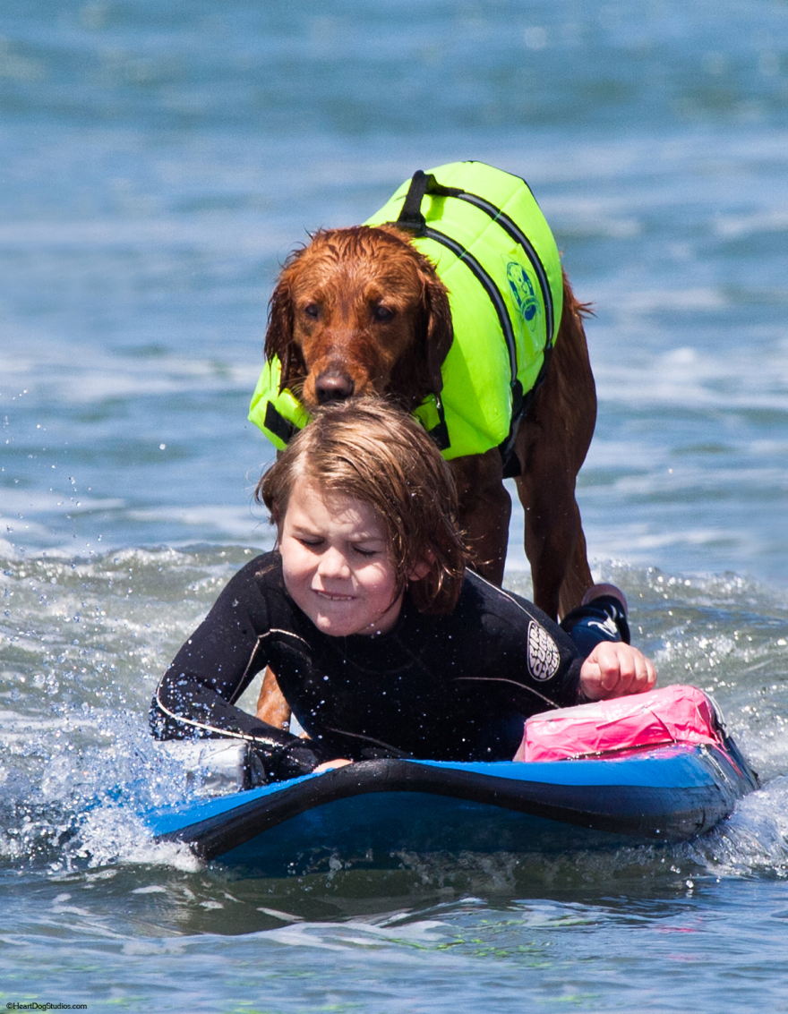 My Therapy Dog Ricochet Surfs With People With Disabilities, Helping Them Heal My Therapy Dog Ricochet Surfs With People With Disabilities, Helping Them Heal